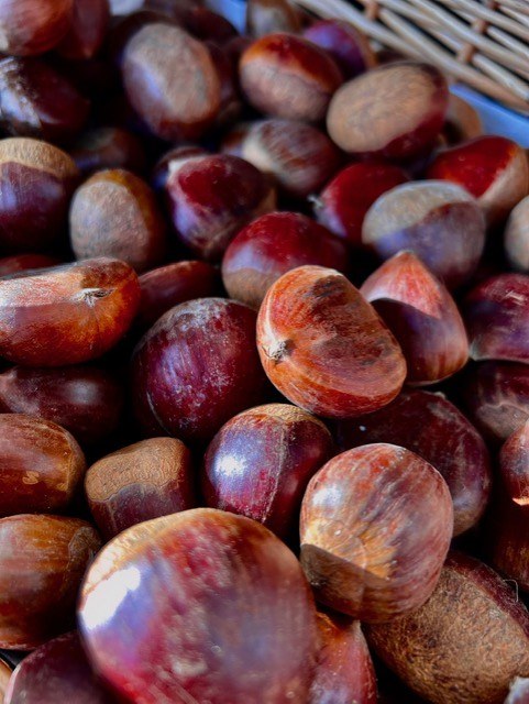 CHESTNUTS