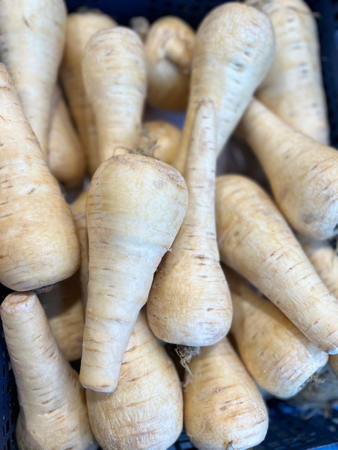 PARSNIP