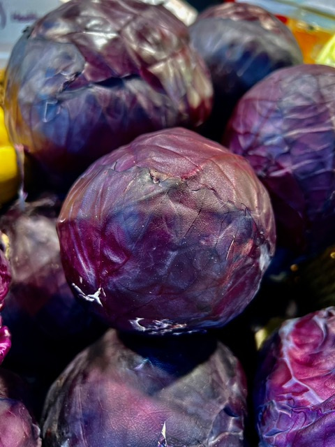 RED CABBAGE